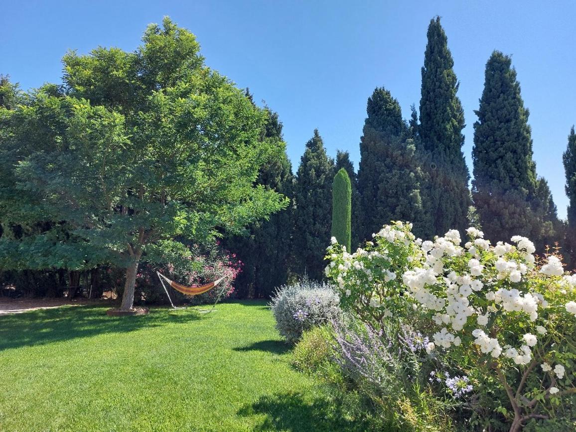 En Provence, Chez Stephanie Et Marcel Saint-Rémy-de-Provence Zewnętrze zdjęcie